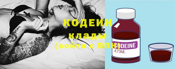 хмурый Абаза