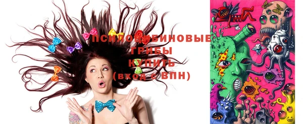 молекула духа Алексин