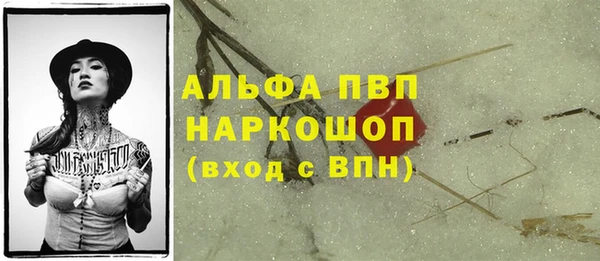 хмурый Абаза