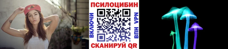 Псилоцибиновые грибы мухоморы  Ефремов 